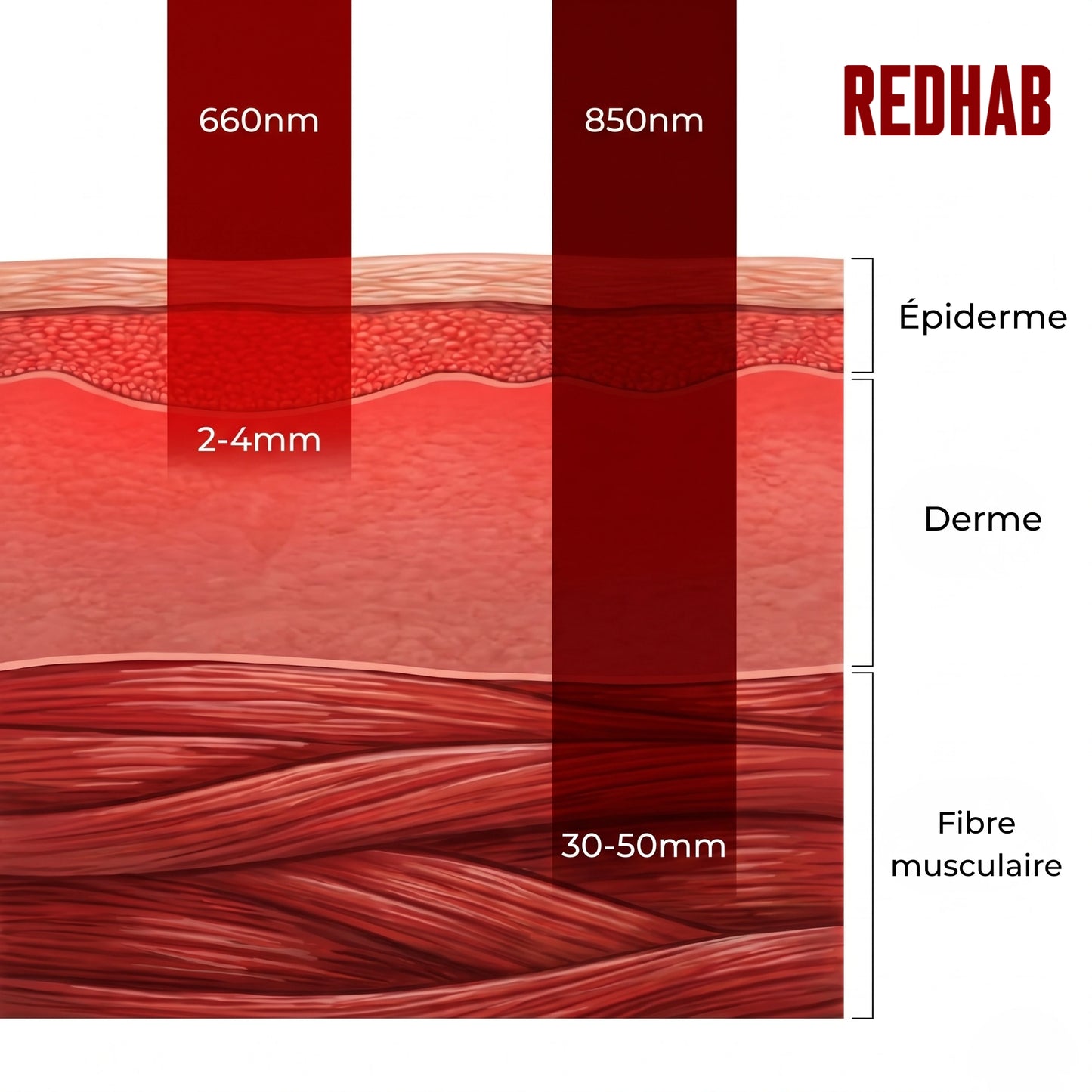 Redhab Pro Panel